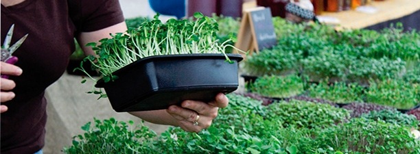 Round table discussion